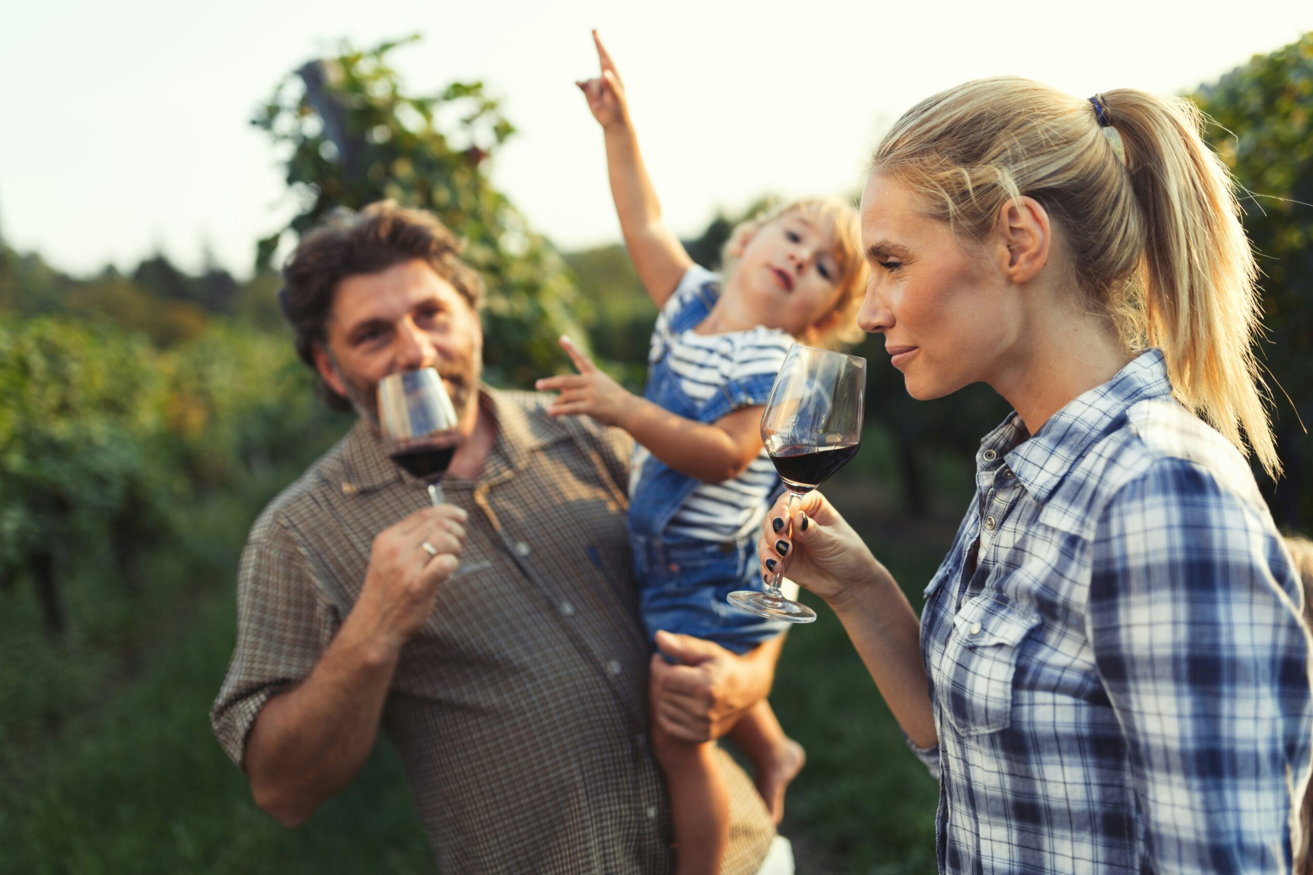 American Wines